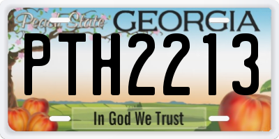 GA license plate PTH2213