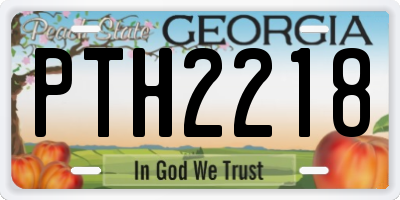 GA license plate PTH2218