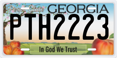 GA license plate PTH2223