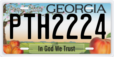 GA license plate PTH2224