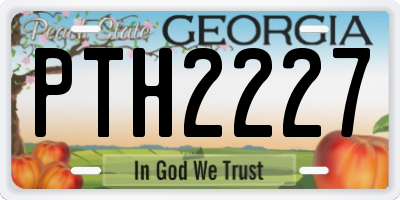GA license plate PTH2227