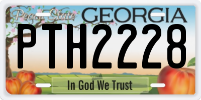 GA license plate PTH2228