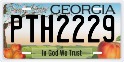 GA license plate PTH2229