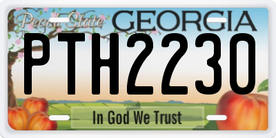 GA license plate PTH2230