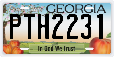 GA license plate PTH2231