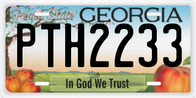 GA license plate PTH2233