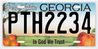 GA license plate PTH2234