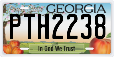 GA license plate PTH2238