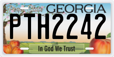 GA license plate PTH2242
