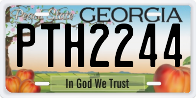 GA license plate PTH2244