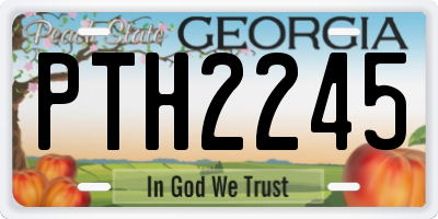 GA license plate PTH2245