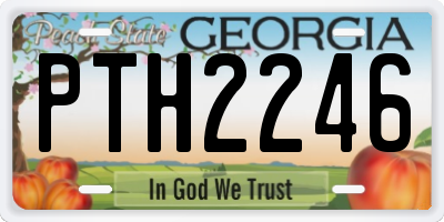 GA license plate PTH2246