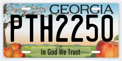 GA license plate PTH2250