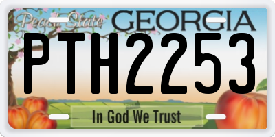 GA license plate PTH2253