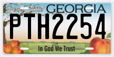 GA license plate PTH2254