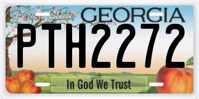 GA license plate PTH2272