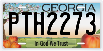 GA license plate PTH2273
