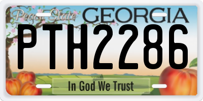 GA license plate PTH2286