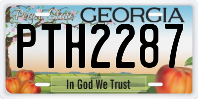 GA license plate PTH2287