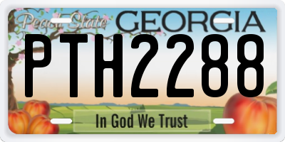 GA license plate PTH2288