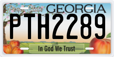 GA license plate PTH2289