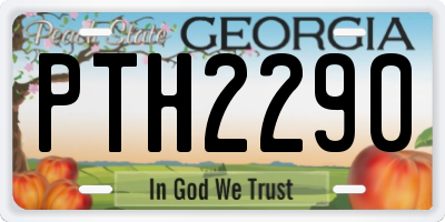 GA license plate PTH2290