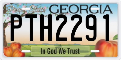 GA license plate PTH2291