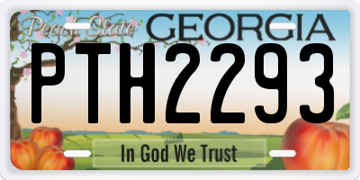 GA license plate PTH2293