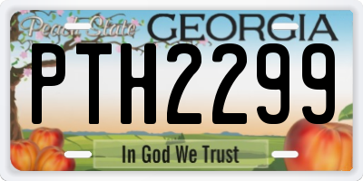 GA license plate PTH2299