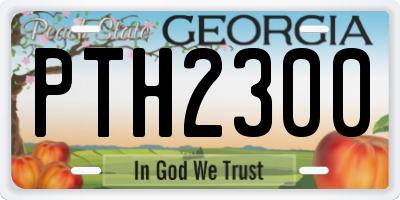 GA license plate PTH2300