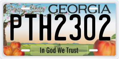 GA license plate PTH2302