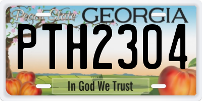 GA license plate PTH2304