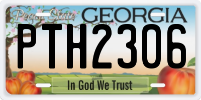 GA license plate PTH2306