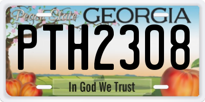 GA license plate PTH2308