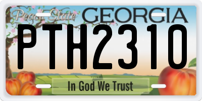 GA license plate PTH2310
