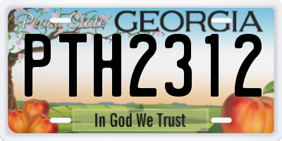 GA license plate PTH2312