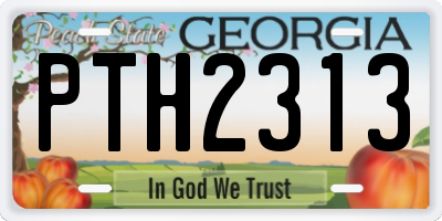 GA license plate PTH2313