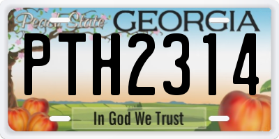 GA license plate PTH2314