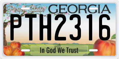 GA license plate PTH2316