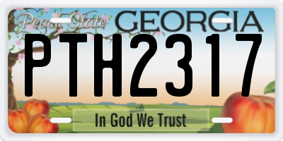 GA license plate PTH2317