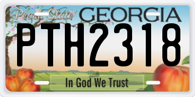 GA license plate PTH2318