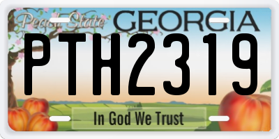GA license plate PTH2319