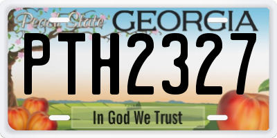 GA license plate PTH2327