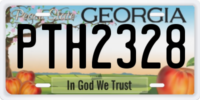 GA license plate PTH2328
