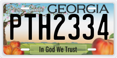 GA license plate PTH2334