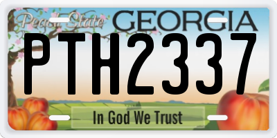 GA license plate PTH2337