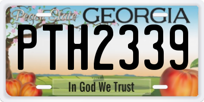 GA license plate PTH2339