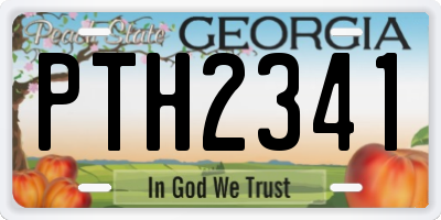 GA license plate PTH2341