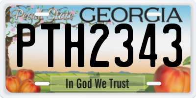 GA license plate PTH2343