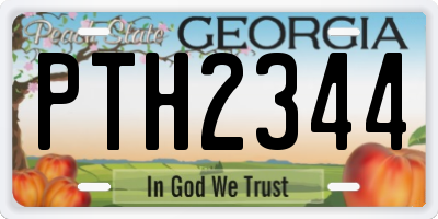 GA license plate PTH2344